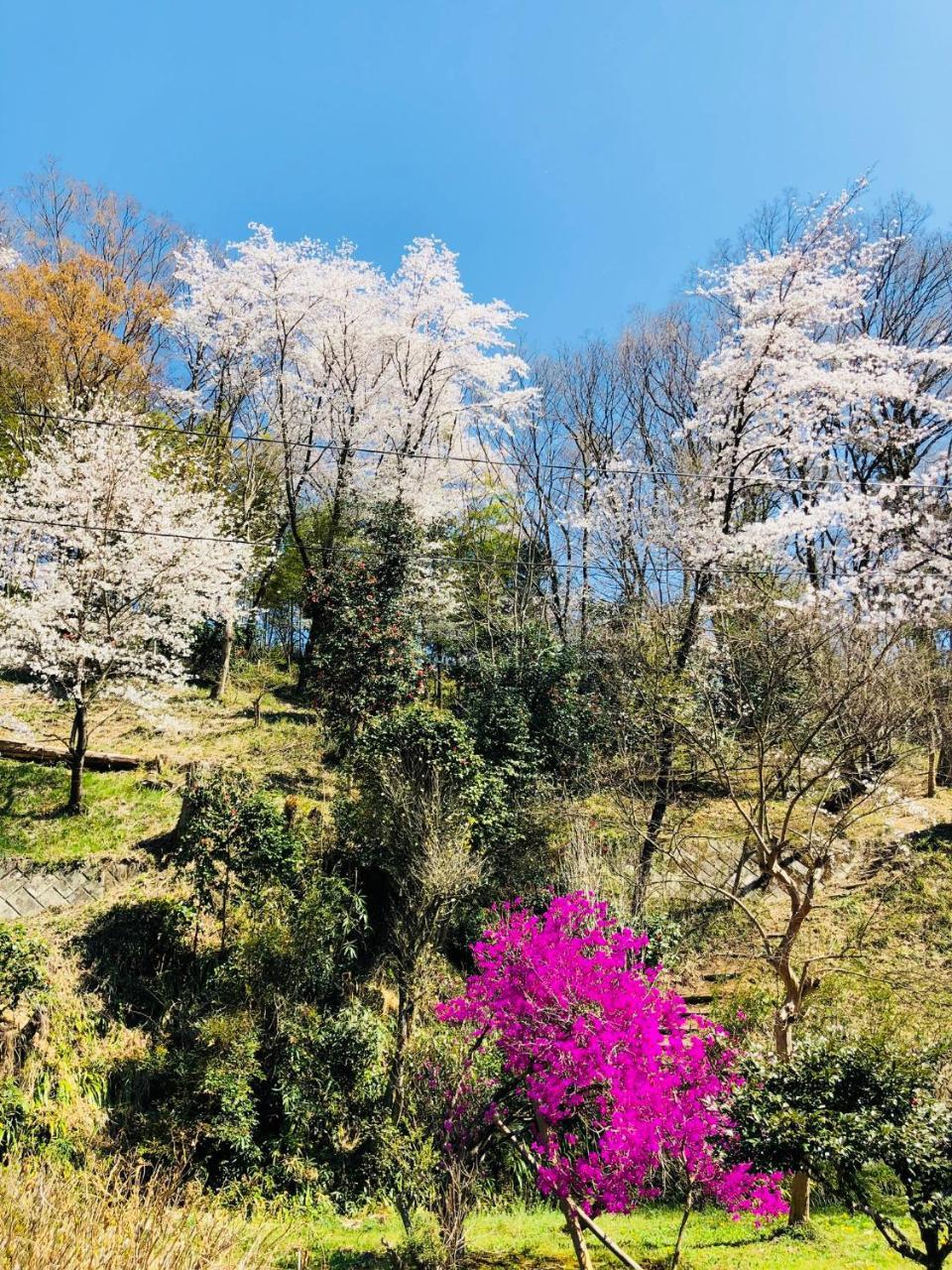 Ryutakuzenji 宿坊 Takasaki Luaran gambar