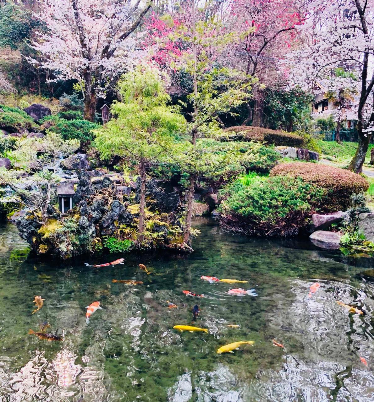 Ryutakuzenji 宿坊 Takasaki Luaran gambar